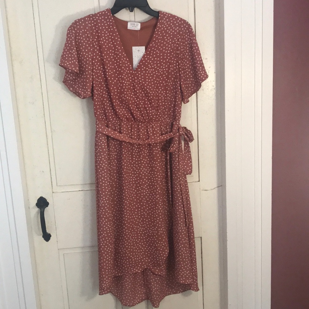 NWT Rose Polka Dot Sundress